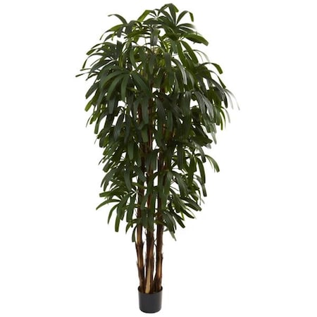 Dare2Decor 6&rsquo; Raphis Palm Tree DA420858